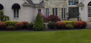 House iwth landscaping